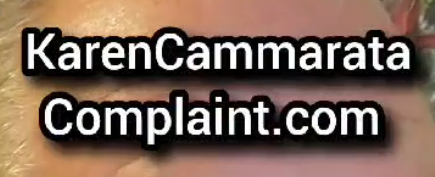 Karen Cammarata - Norwich NY Files Complaint Against Local Home Inspector